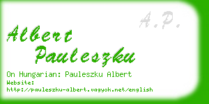 albert pauleszku business card